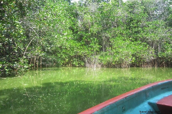 Puerto Escondido for Non-Surfers: Mexico s Surf Mecca Beyond the Waves