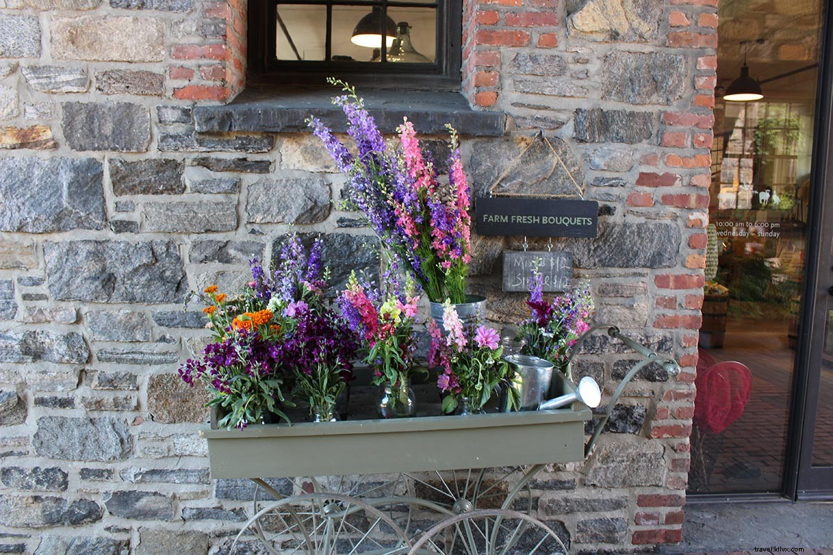 Discover Storm King Art Center: A Perfect Sunday Day Trip from NYC