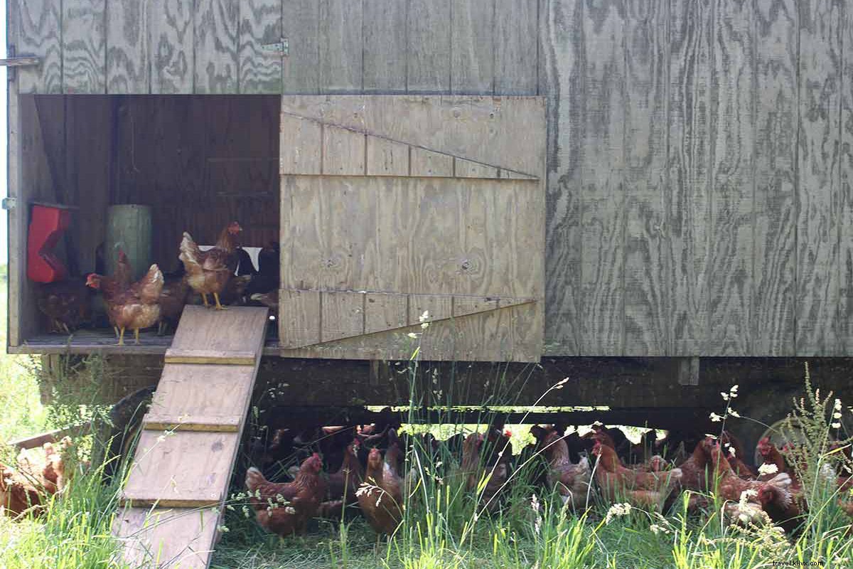 Discover Storm King Art Center: A Perfect Sunday Day Trip from NYC