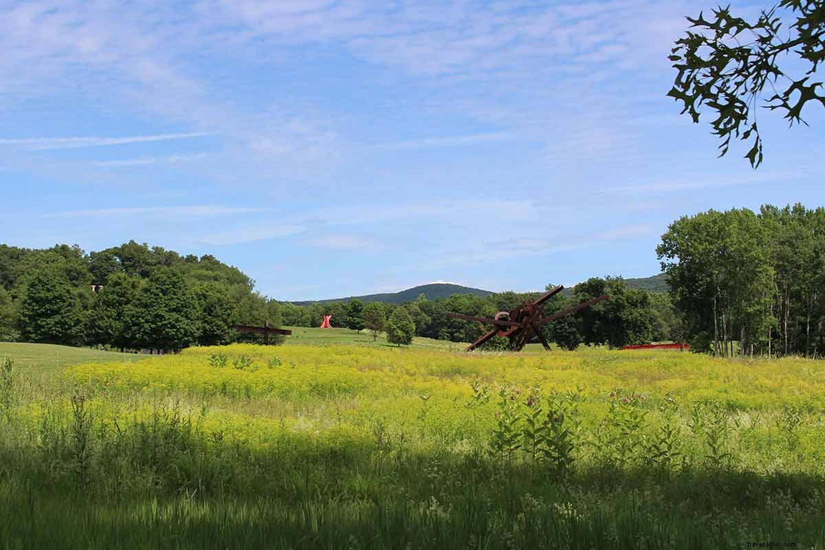 Discover Storm King Art Center: A Perfect Sunday Day Trip from NYC
