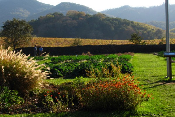 Solo Dining Adventure: Flying Cross-Country to The French Laundry on a Whim