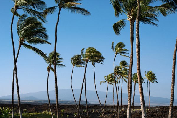 Tiny Atlas Quarterly Reveals Kona s Hidden Secrets