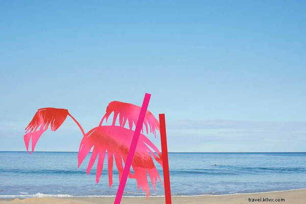 Tiny Atlas Quarterly Reveals Kona s Hidden Secrets