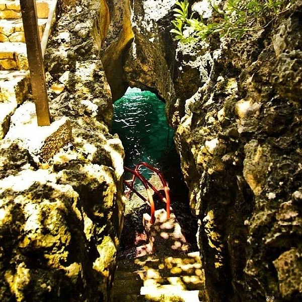 Jamaica Insider s Guide: Exclusive Tips from Rockhouse Hotel Owner Paul Salmon