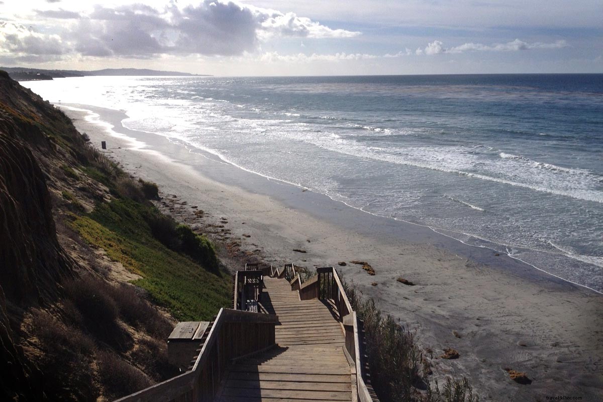 Endless Summer in Encinitas: A Local s Guide to San Diego s Premier Beach Town
