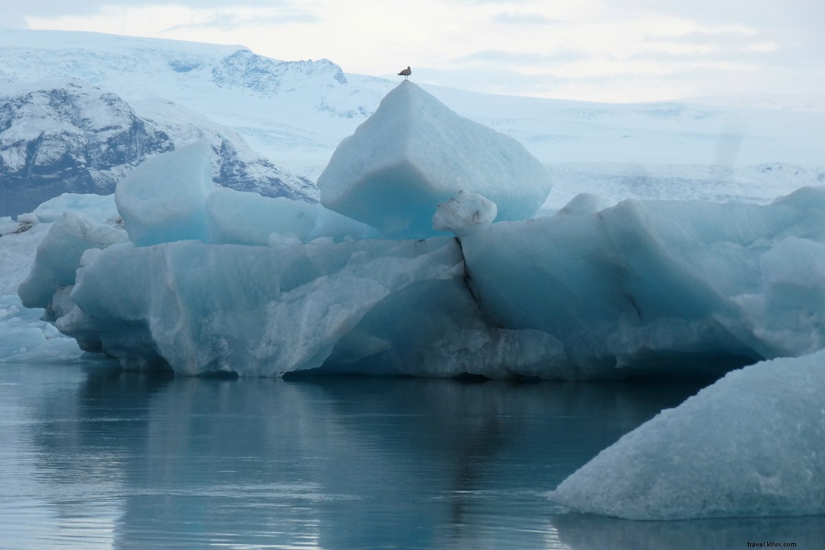 Iceland s Ring Road: Thrilling Triumphs, Mishaps, and Breathtaking Adventures