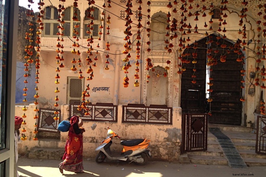Galloping for Good: Humanitarian Horseback Riding in Rajasthan, India