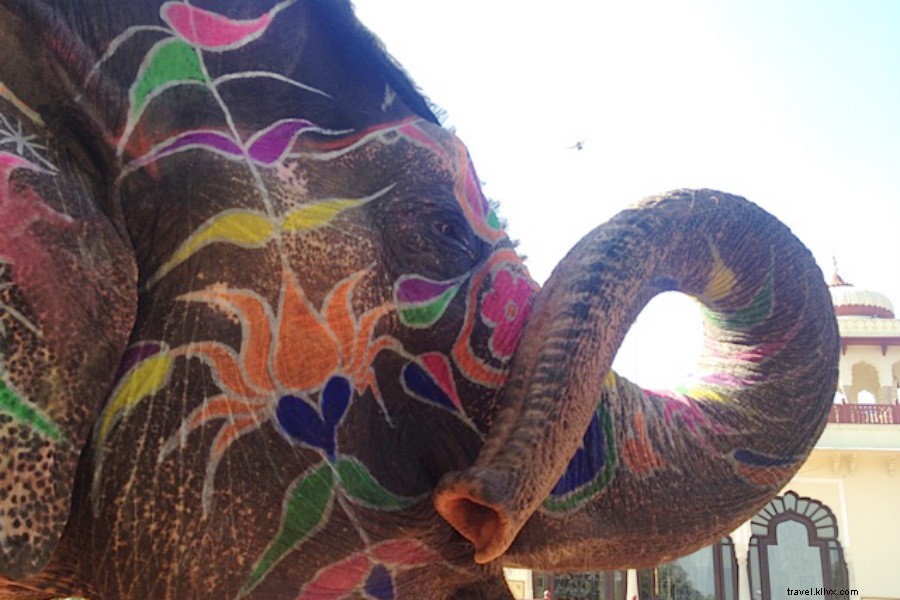 Galloping for Good: Humanitarian Horseback Riding in Rajasthan, India