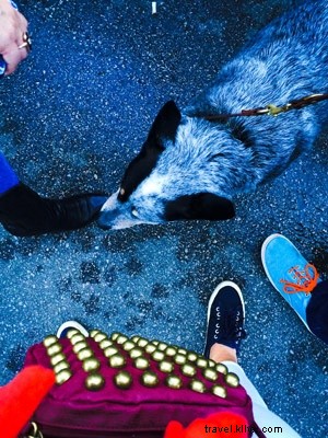 SXSW Recap: The Ultimate Cure for Festival FOMO and Envy