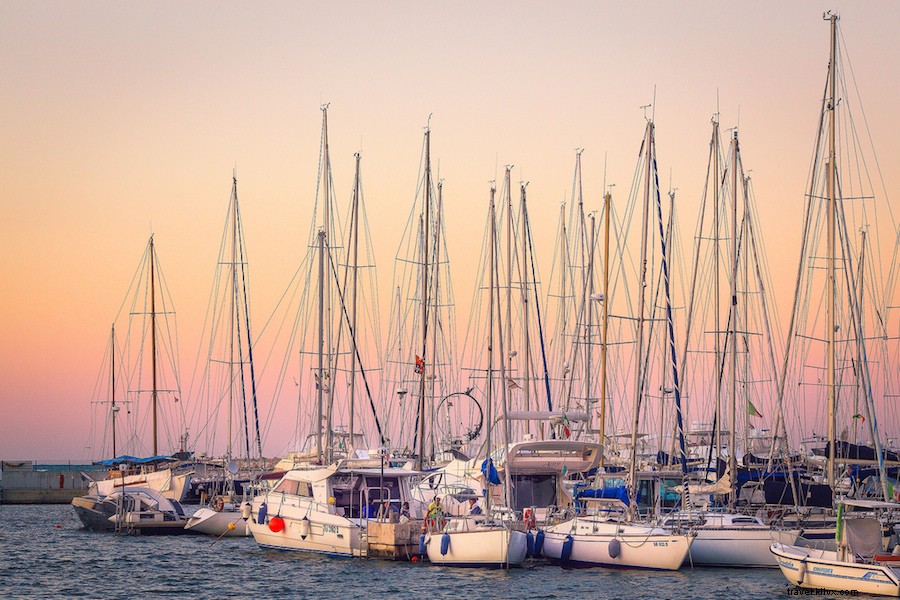 Excerpt from  The Sun and Other Stars  by PEN/Hemingway Award Winner Brigid Pasulka