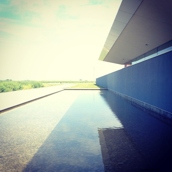 Savoring Toronto s Vine Country: A Foodie and Wine Lover s Weekend Escape