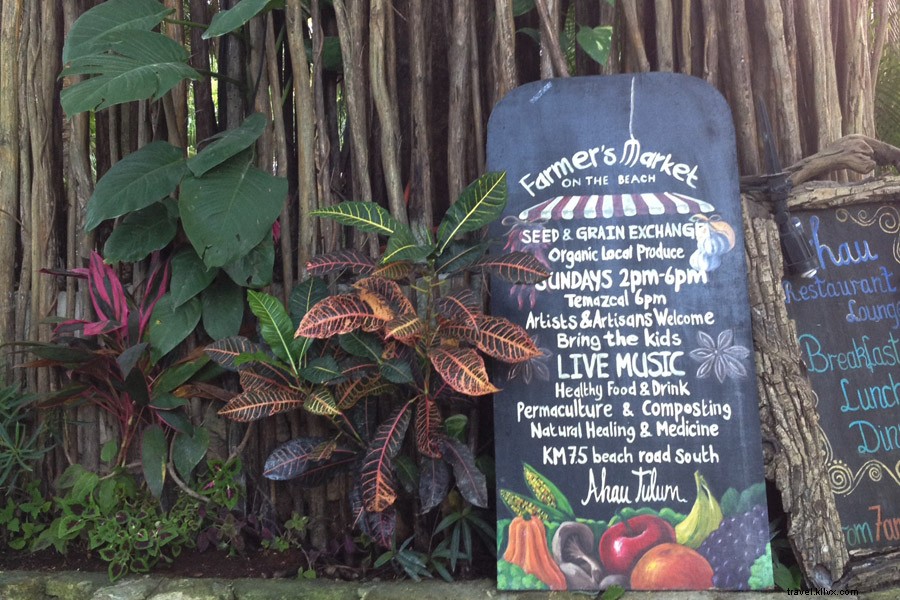 Tulum Wellness Guide: Healthy Living Tips from Jessa Blades