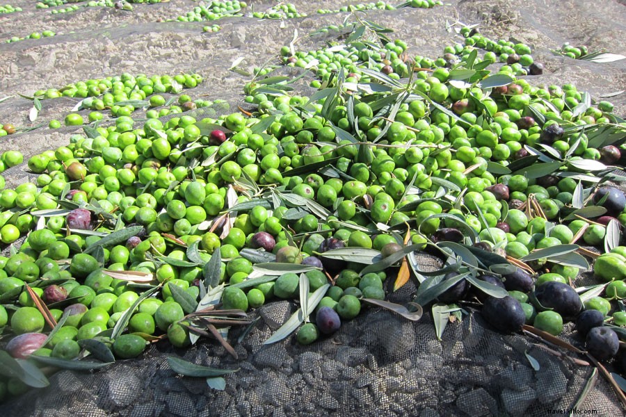 Romantic Sicily Road Trip: A Perfect Two-Week Honeymoon Itinerary