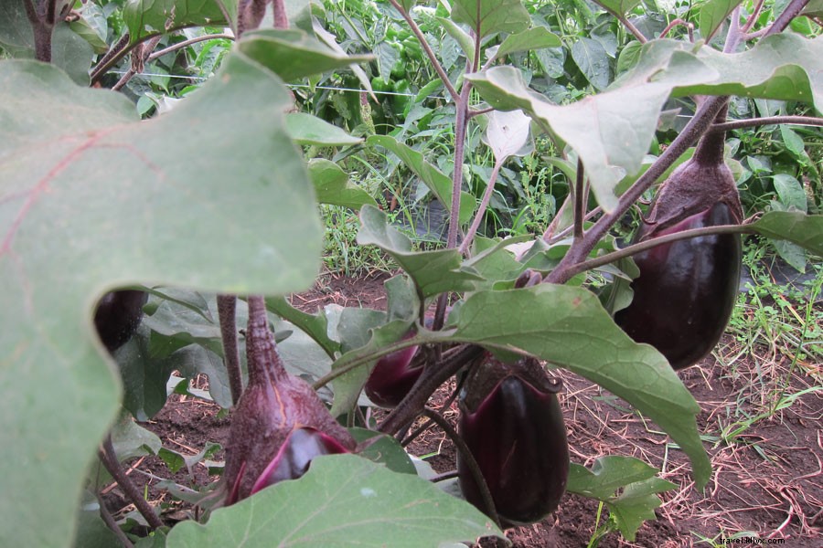 Romantic Sicily Road Trip: A Perfect Two-Week Honeymoon Itinerary