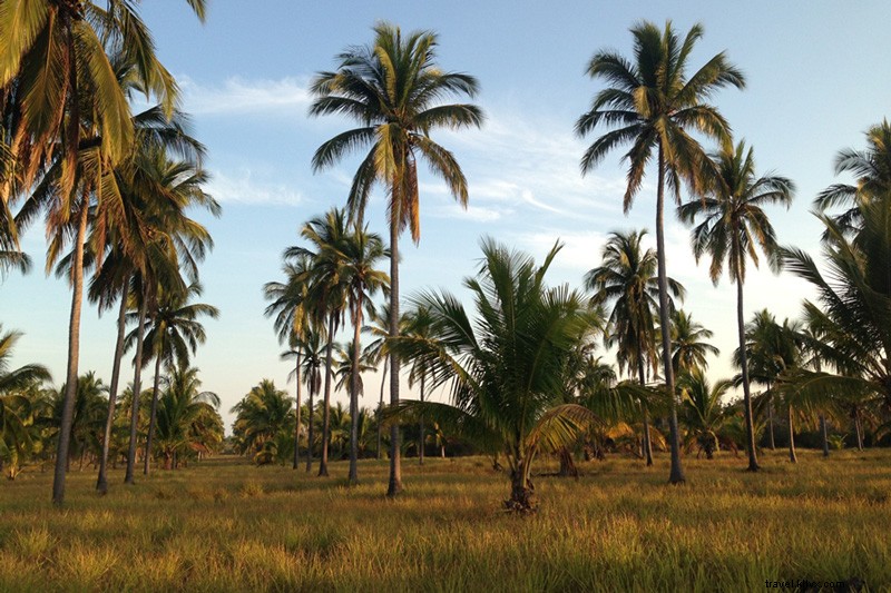 Discover Cuixmala: Mexico s Premier Pacific Coast Hideaway