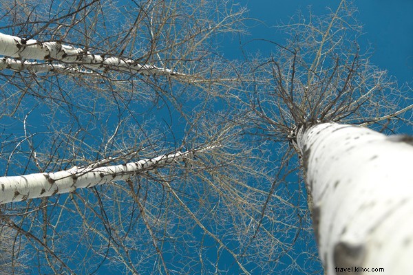 Snowboard Park City s Epic Slopes with Olympic Gold Medalist Torah Bright
