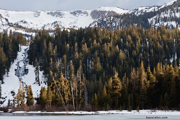 Snowboard Park City s Epic Slopes with Olympic Gold Medalist Torah Bright
