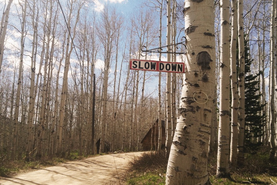 Unplugged in Nevada: The Joys of a Digital Detox Vacation