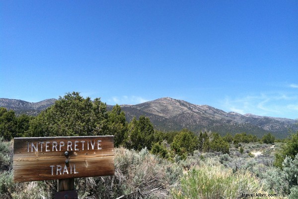 Unplugged in Nevada: The Joys of a Digital Detox Vacation