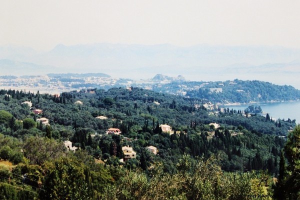 Discover Corfu s Best Tavernas, Pristine Beaches, and Iconic Fig Trees: Insider Guide