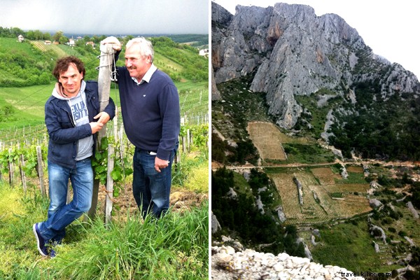 Sommelier Joe Campanale s Exclusive Tour of Croatia s Finest Wines