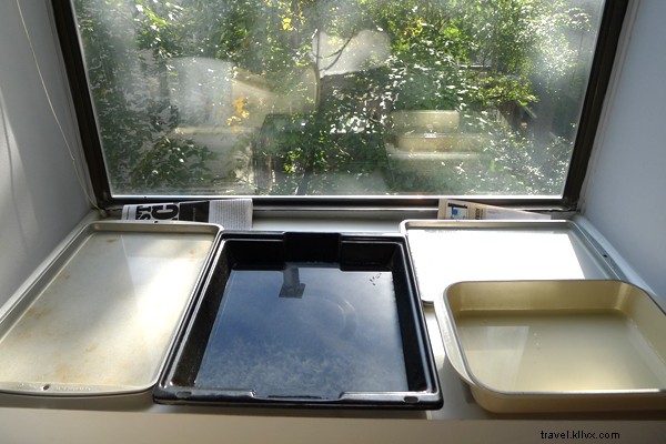 Chasing Global Flavors: My Quest for Salt and Spice from Turks & Caicos to Naples