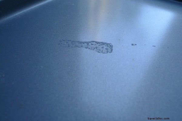 Chasing Global Flavors: My Quest for Salt and Spice from Turks & Caicos to Naples