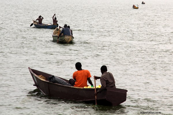 Discover Uganda on Safari: Wildlife Wonders of the Pearl of Africa