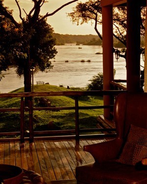 Discover Uganda on Safari: Wildlife Wonders of the Pearl of Africa