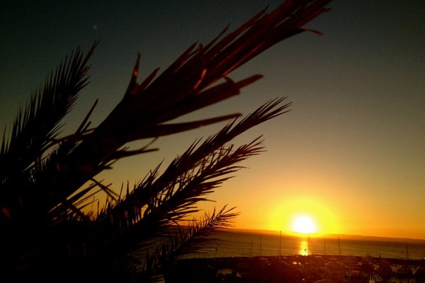 Swim with Majestic Whale Sharks in Baja, Mexico: An Unforgettable La Paz Adventure
