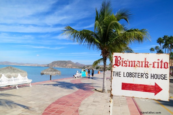 Swim with Majestic Whale Sharks in Baja, Mexico: An Unforgettable La Paz Adventure