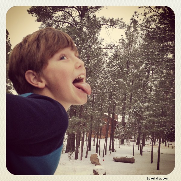 Master Ski Apache: Thrilling New Mexico Slopes for Beginners and Families