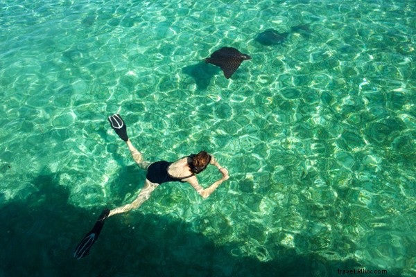 Luxury Caribbean Adventures at Turtle Inn, Placencia, Belize