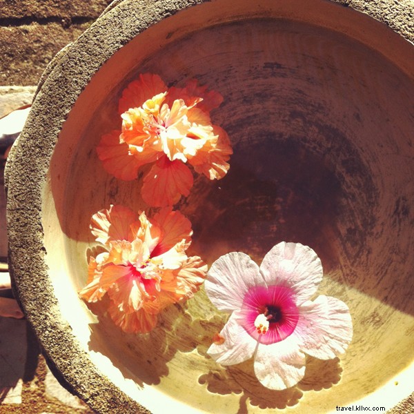 Luxury Caribbean Adventures at Turtle Inn, Placencia, Belize