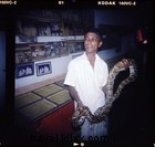 Celebrating Chinese New Year: Embracing the Year of the Water Snake and Travel Adventures