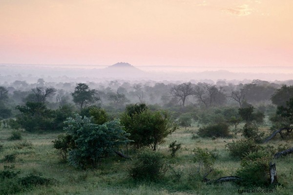 My First Safari Sunrise: Yoga Amid Roaring Lions in Sabi Sands