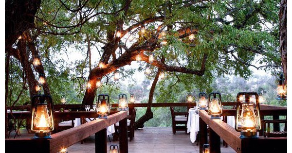 My First Safari Sunrise: Yoga Amid Roaring Lions in Sabi Sands