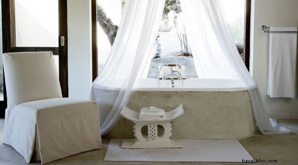 My First Safari Sunrise: Yoga Amid Roaring Lions in Sabi Sands