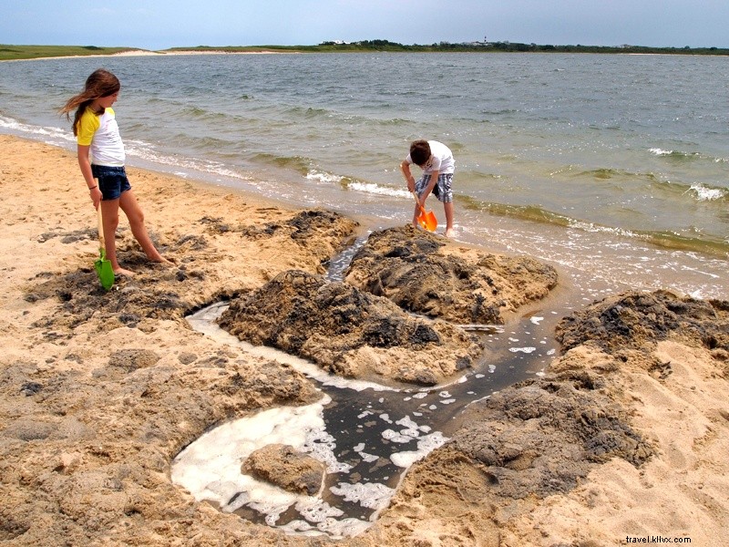 Insider s Nantucket Guide for Families: Authentic, Affordable Adventures with Kids