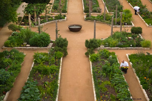 Lake Austin Spa Resort: A Cinematic Wellness Escape in Texas