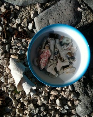 Just Back from Bonaire: A First-Timer s Two-Week Guide to the Dutch Antilles