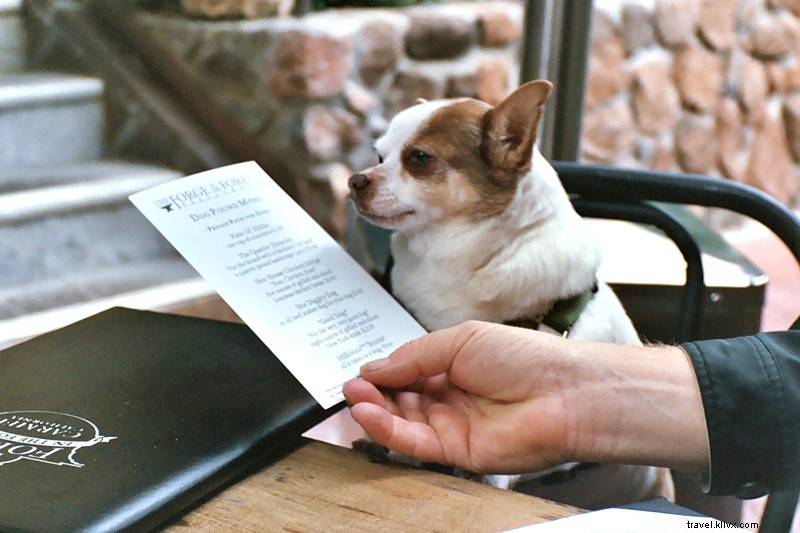 Luxury Dog-Friendly Getaway: Hag n Wag Holidays in Carmel-by-the-Sea