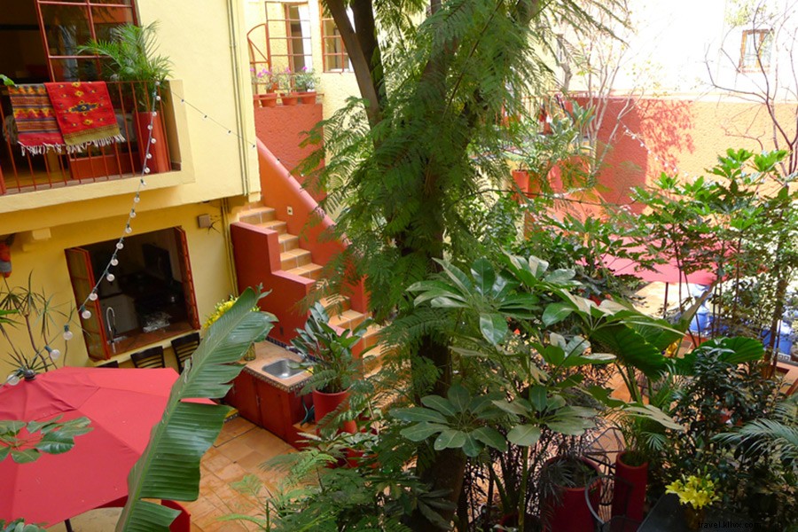 Mexico City Day 2: Exploring Vibrant Roma and Condesa Neighborhoods