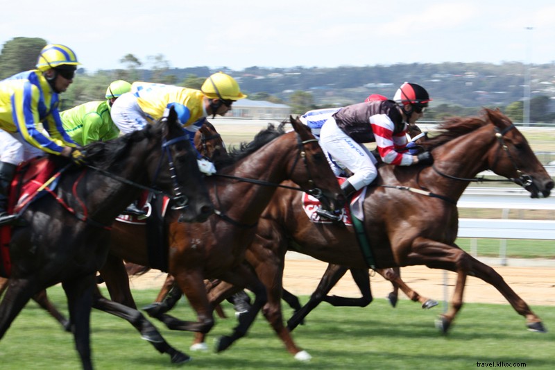 Thrilling Horse Racing Day at Royal Windsor Racecourse: A London Day Trip Adventure