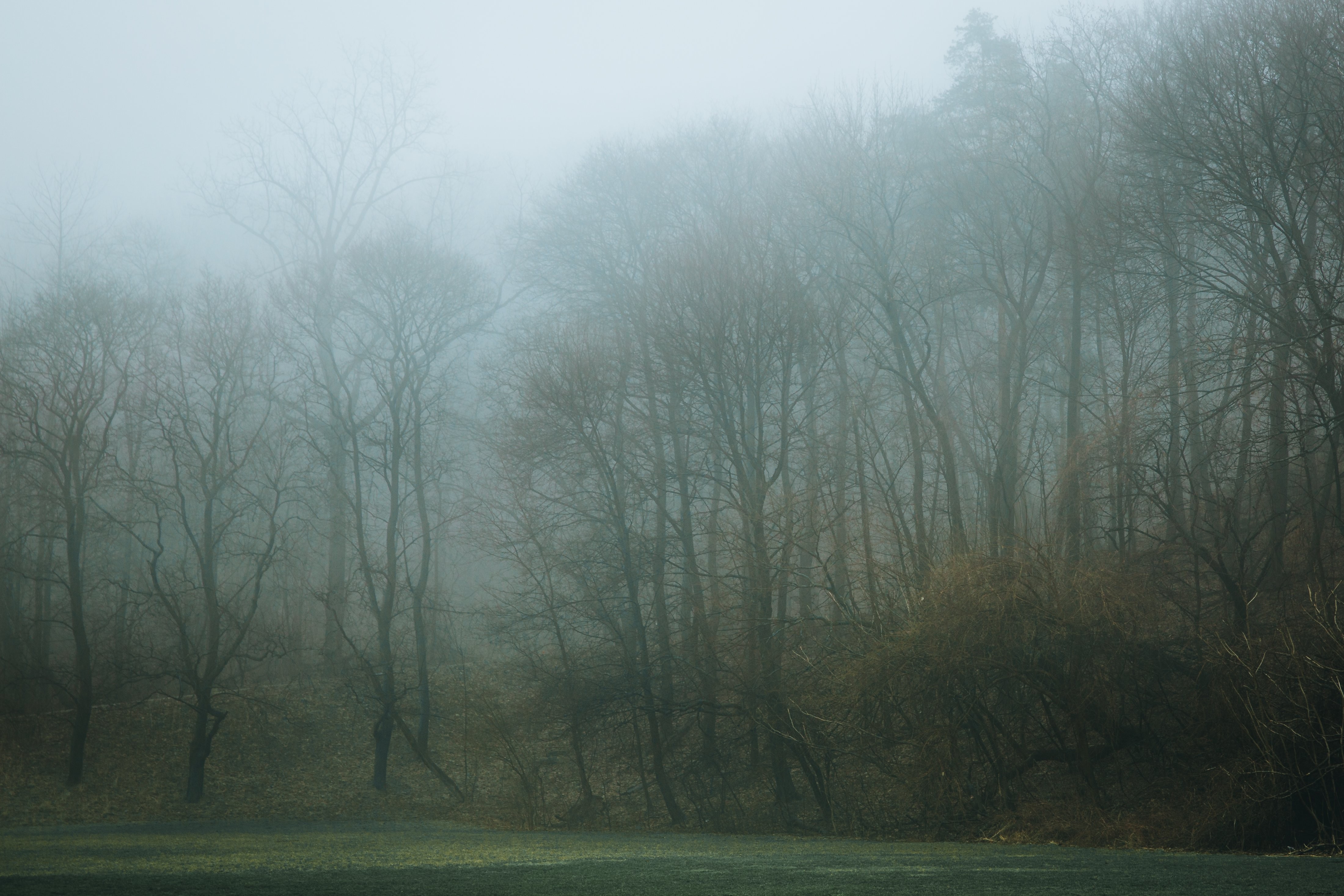 Mysterious Foggy Treeline Encircling a Soccer Field – Stunning Photo