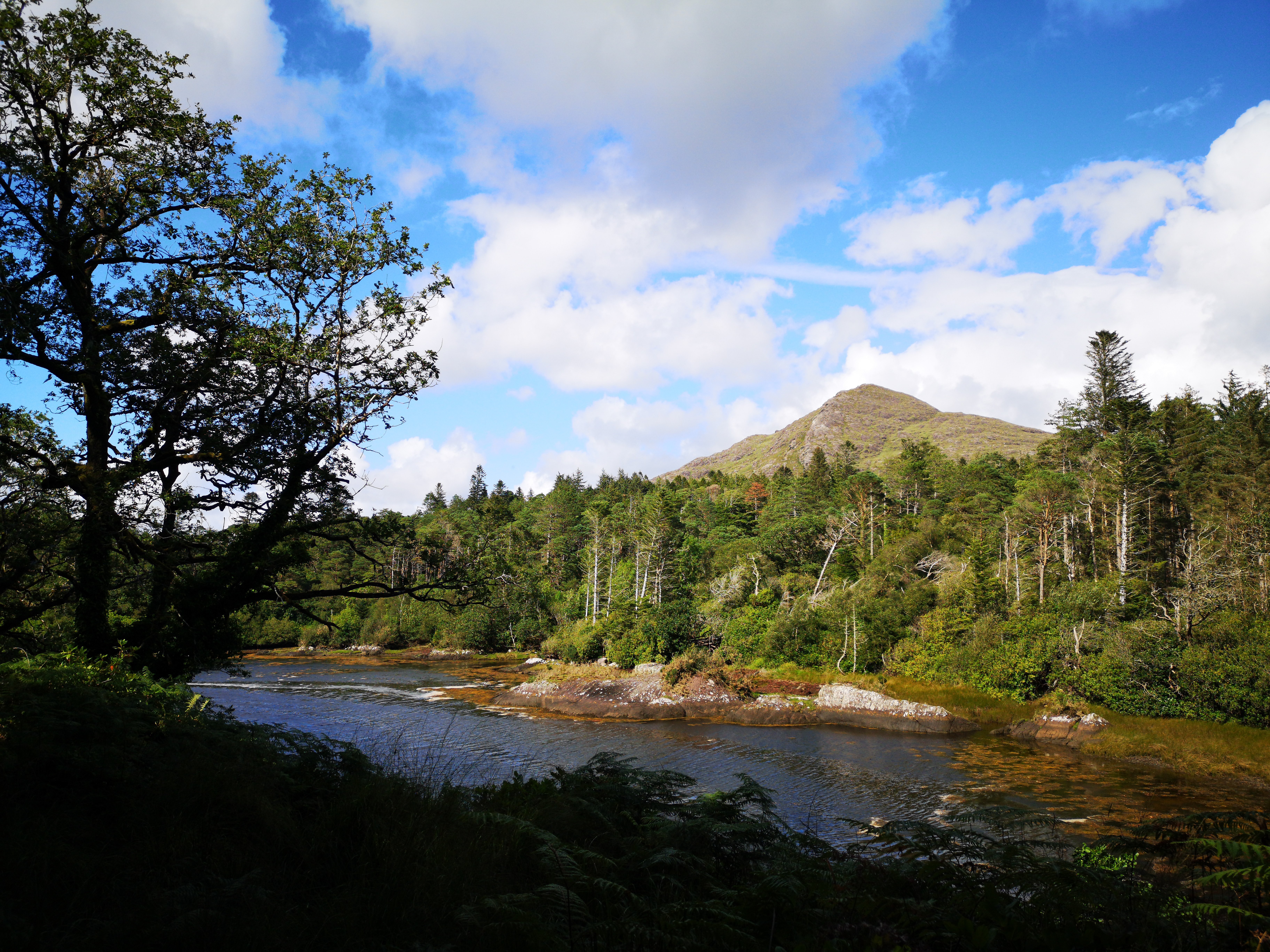 Stunning Landscape: Tree-Covered Riverside Hills Under Clear Blue Sky