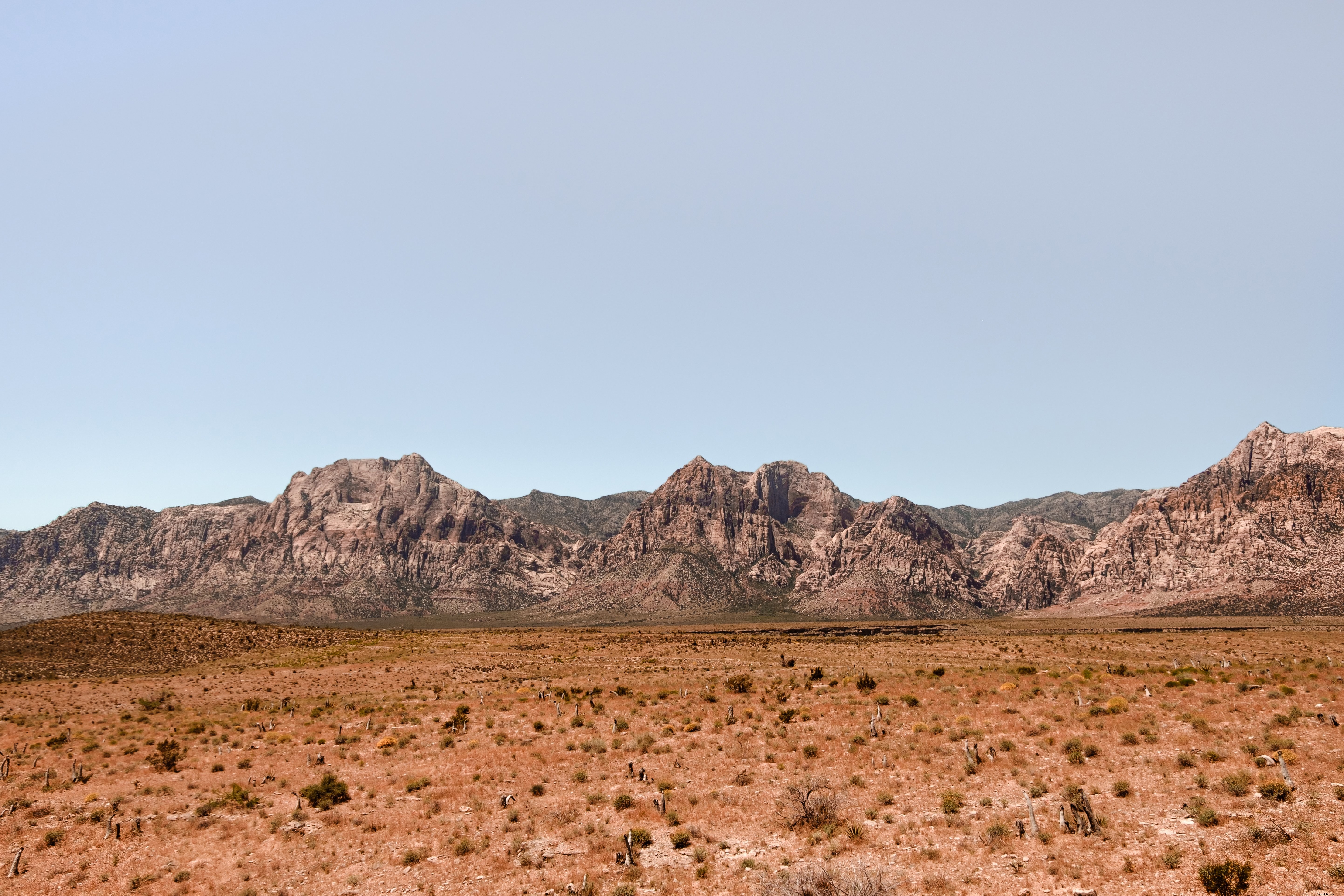 Stunning Rocky Mountains Landscape with Golden Brown Grass – High-Res Photo