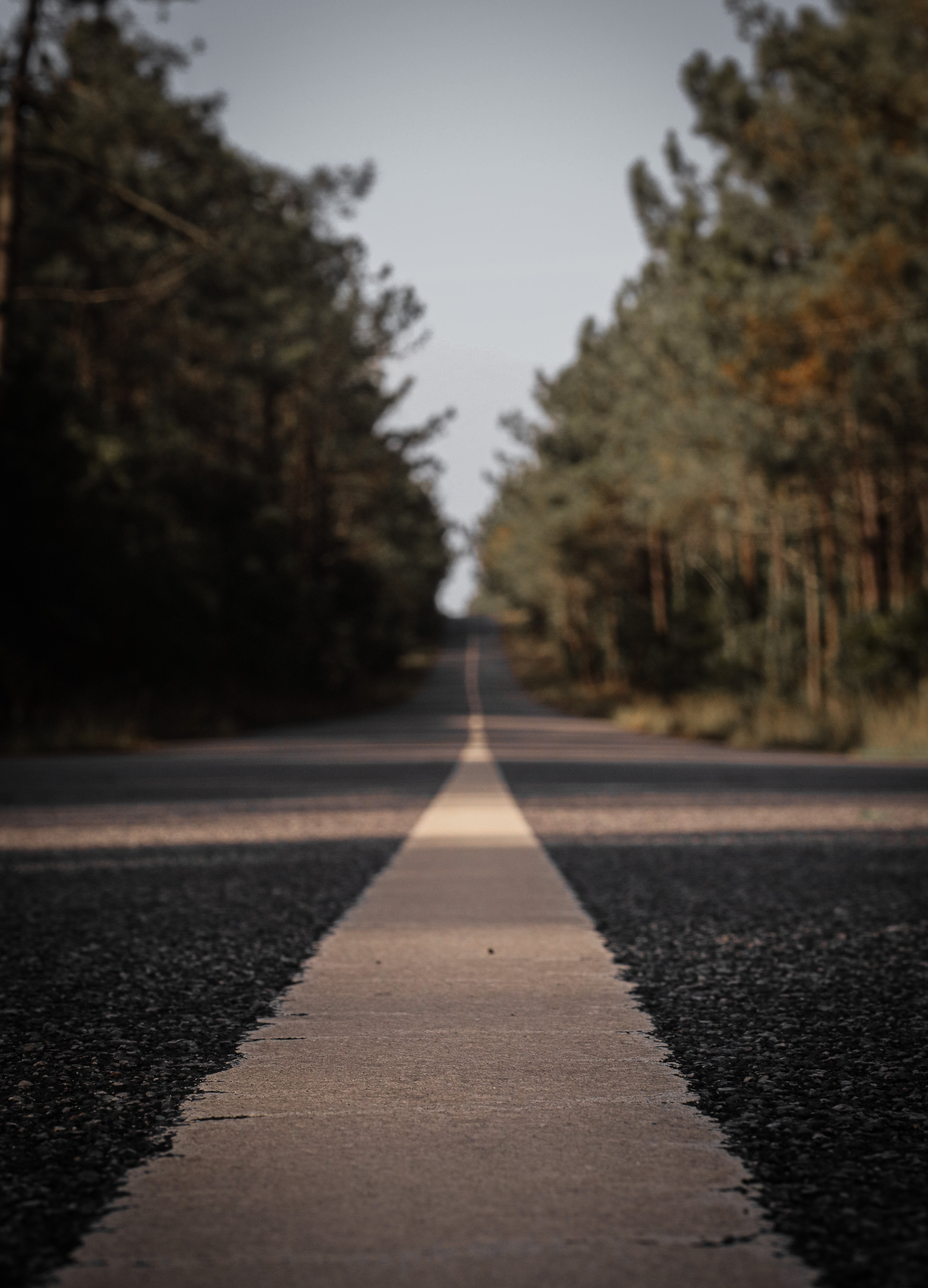 Captivating Perspective: Looking Down the White Line on a Paved Road Photo