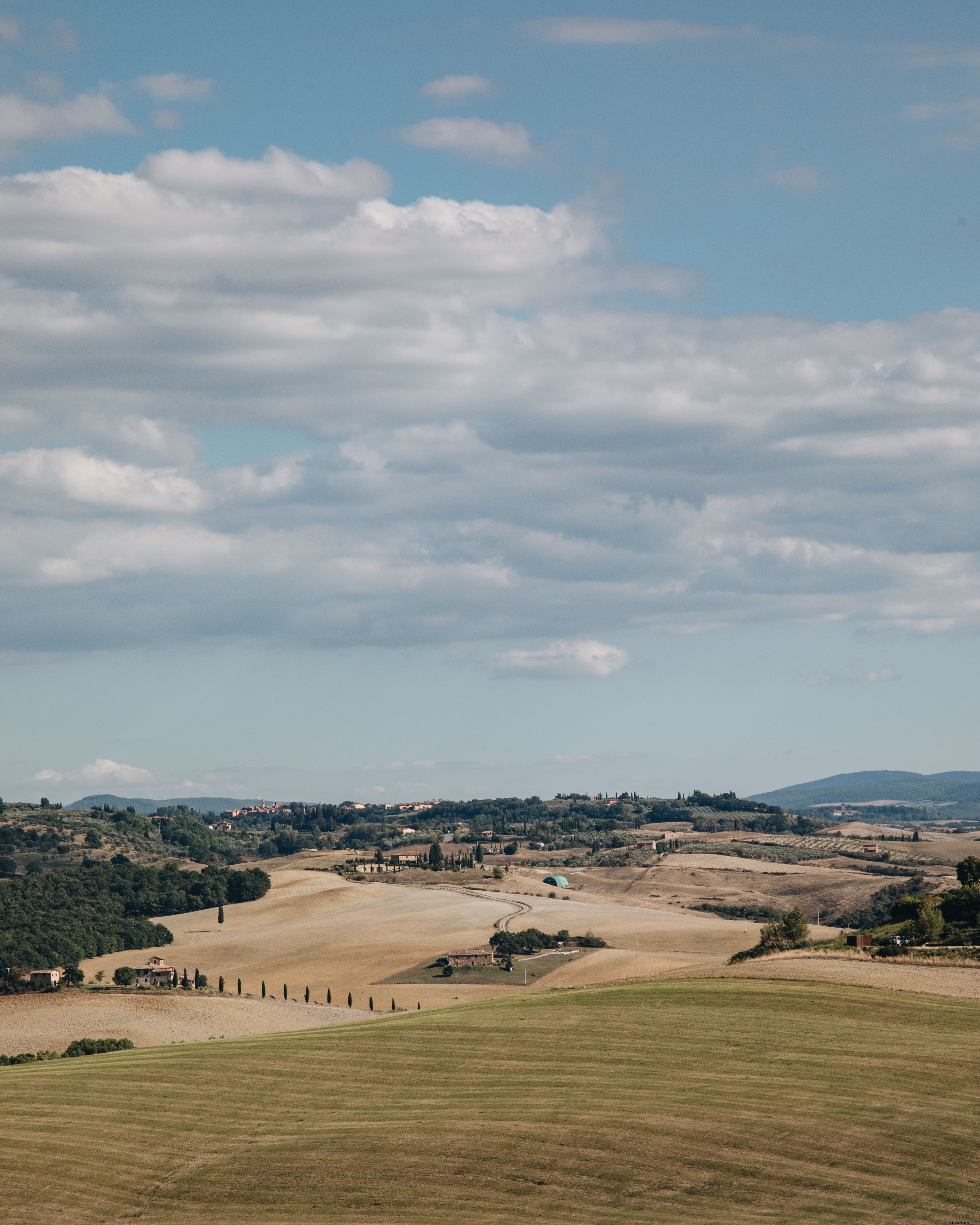 Stunning Leading Lines: Lush Green Fields and Winding Dirt Roads Photo
