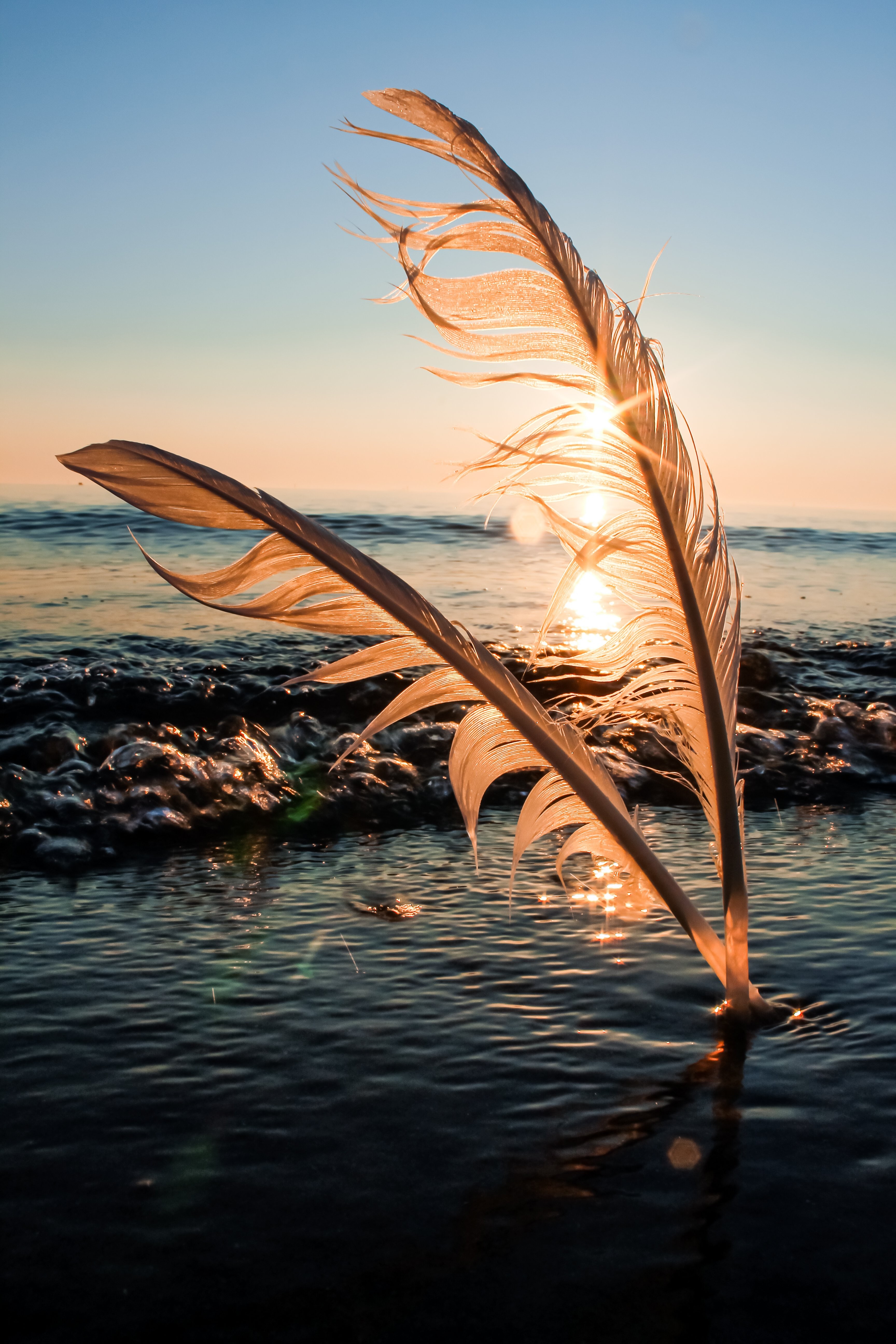 Stunning Sunrise Behind Two Feathers in the Sand – Captivating Beach Photo